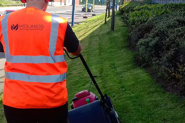 mowing