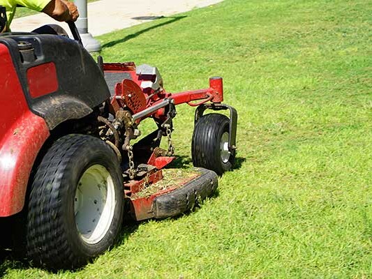 Thumb Mowing