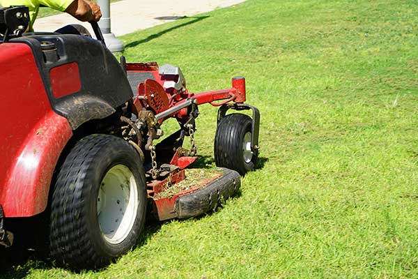 Thumb Mowing