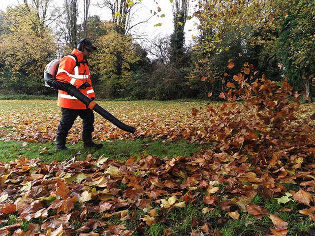 Leaf Clearance | Midlands Grounds Maintenance | Call us 01384 271671