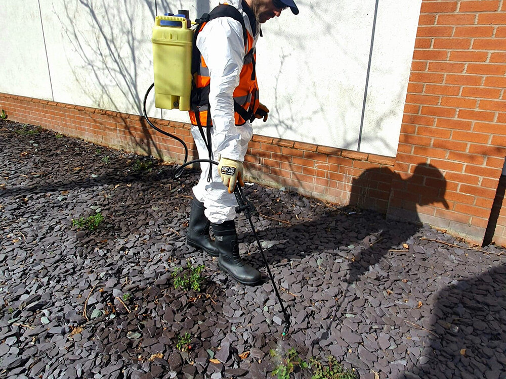 weed spraying